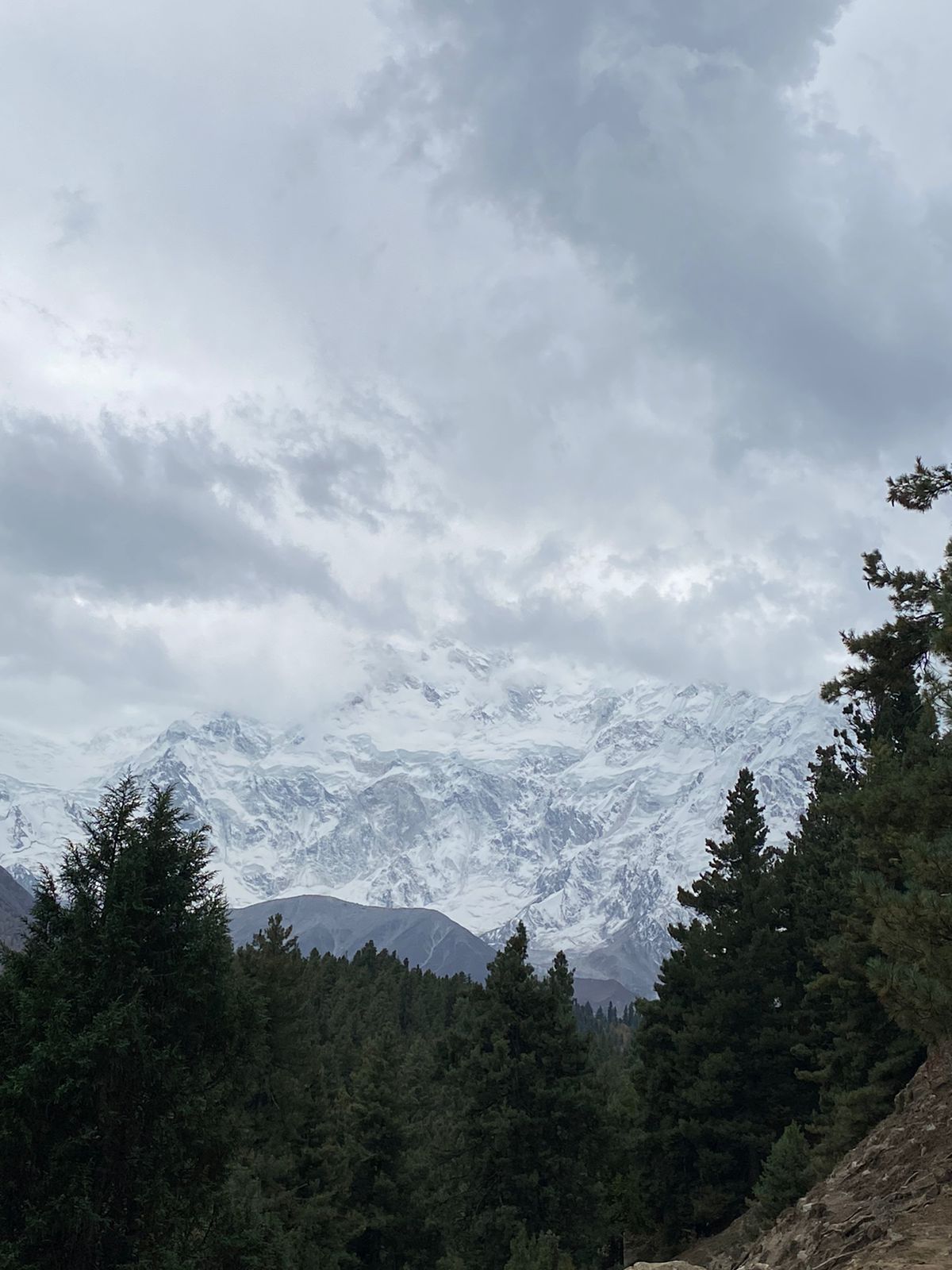 Fairy Medows-Bayal Camp